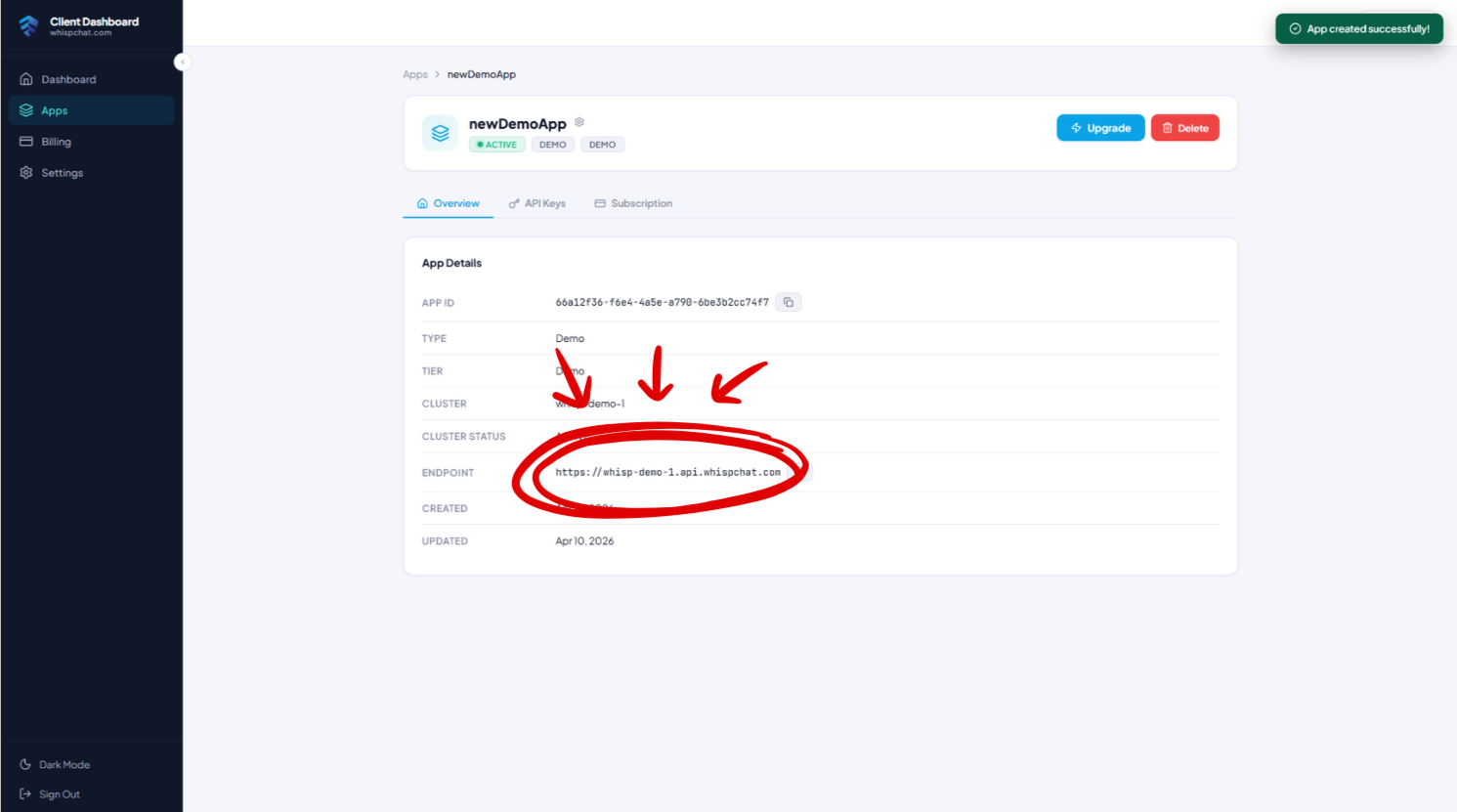 App overview showing the base URL